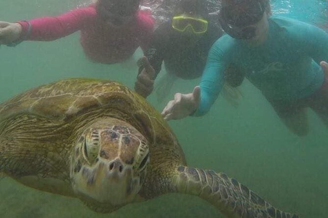 Snorkeling with Sea Turtles in Mirissa (Pickup and Drop included) - Equipment, snacks, and the practical package