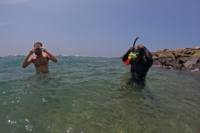 Snorkeling with Turtles in Mirissa - Water clarity, waves, and timing