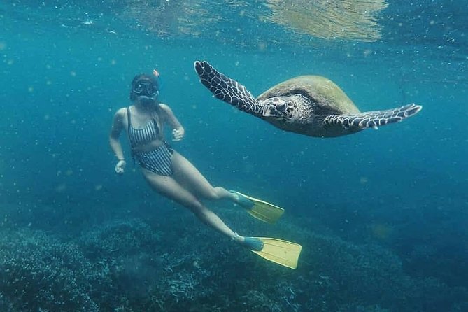 Snorkeling with Whales in Mirissa - Snorkeling equipment, snacks, and the practical comforts