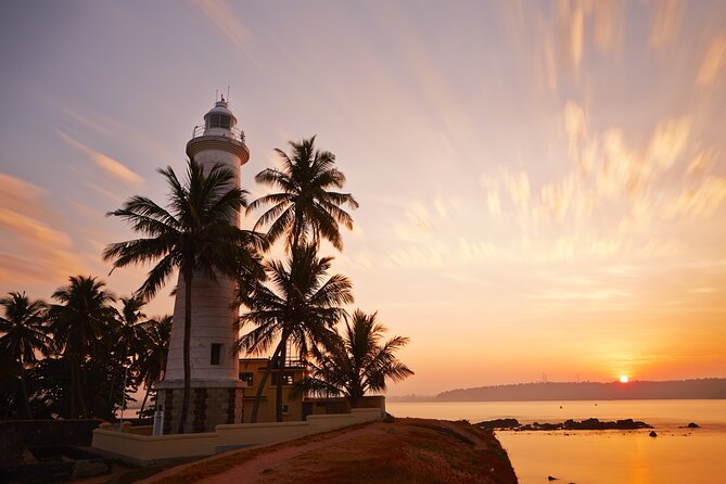 Southern Coast Highlights from Colombo - Handunugoda Tea Estate and low-country tea