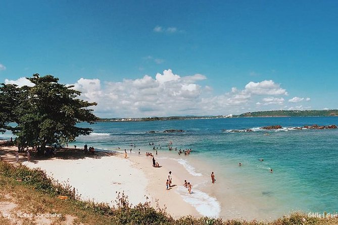 Southern Sri Lanka Sightseeing Day Trip From Colombo & Negombo - Unawatuna Beach and lunch by the coast