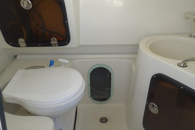 Sports Boat- Private Whale Watching Trip( free breakfast & paid pick-up) - How the private format changes the experience