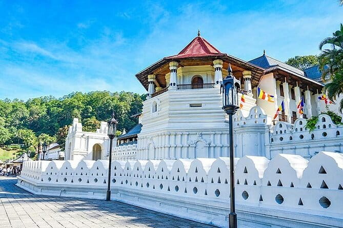 Sri Lanka 11 Days with Driver and Vehicle (Customizable) - Days 9 to 11: beaches, whales, and Galle Fort