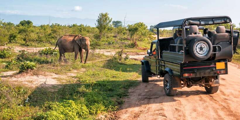 Sri Lanka: 2-Day wildlife tour; rainforest and National park - Ella to Nanu Oya on the blue train