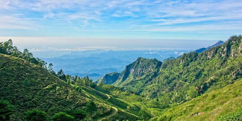 Sri Lanka: 2-Day wildlife tour; rainforest and National park - Nuwara Eliya, Gregory Lake, and Ceylon tea