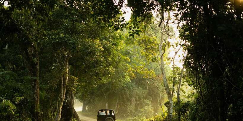 Sri Lanka: 2-Day wildlife tour; rainforest and National park - Who will enjoy this two-day route