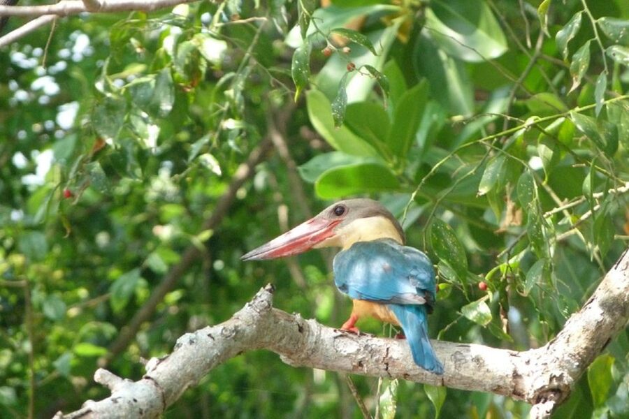 Sri Lanka: 2-Day wildlife tour; rainforest and National park - Should you book it?