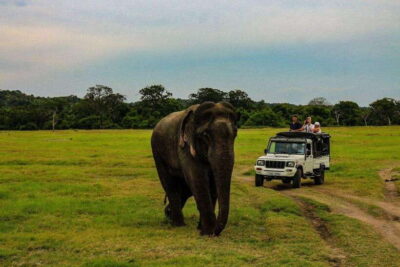 3N4Day guided FULL TOUR with hotel accommodations