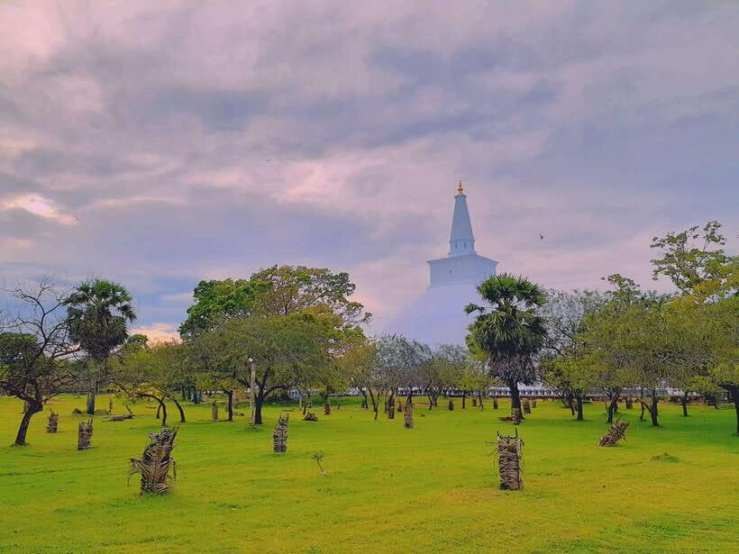 Sri Lanka: 4-Day Private Tour Focusing on Cultural Triangle - Day 3: Sigiriya at sunrise, then Dambulla’s painted caves