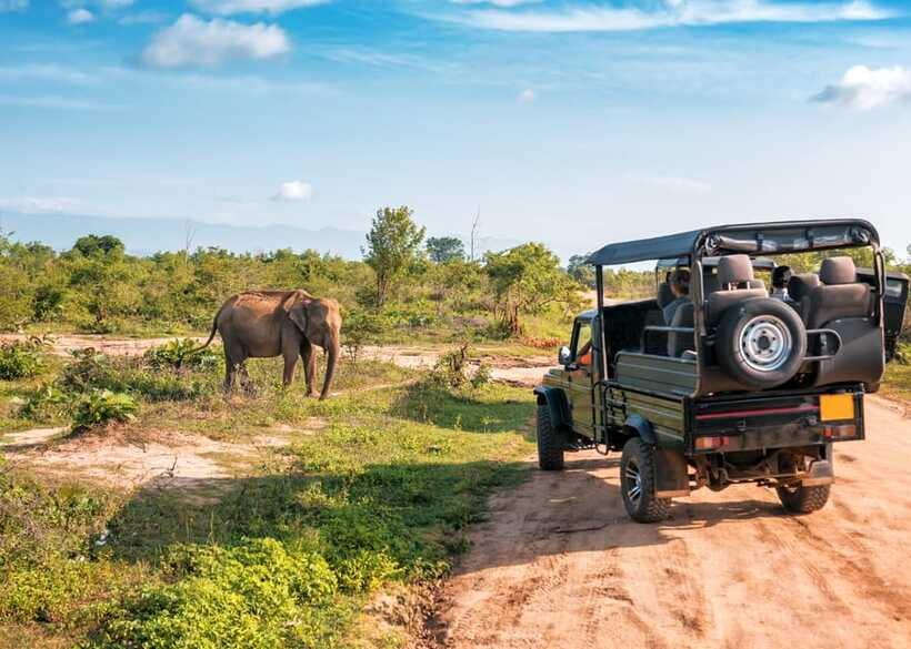 Sri Lanka: 4-Day Private Tour Focusing on Cultural Triangle - What the $499 price really covers