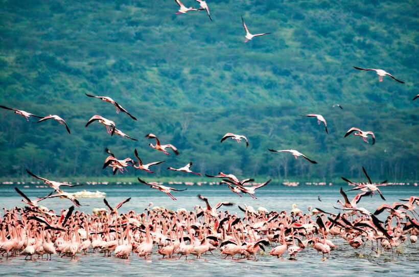 Sri Lanka 5-Day Private Country Side Tour Car, Hotels, Food - What to pack for the five days