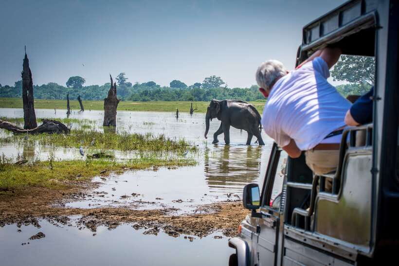 Sri Lanka: 5 Days Multi City Sightseeing Tour - Why this five-day route works
