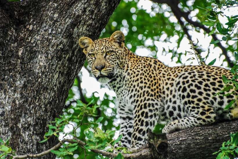 Sri Lanka: 7-Day Off-The-Beaten Path Private Tour - What this seven-day route is really like