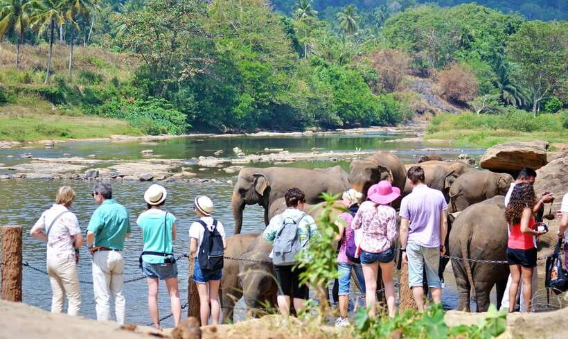 Sri Lanka: 7-Day Off-The-Beaten Path Private Tour - Day 3: Dambulla and Kandy’s religious center