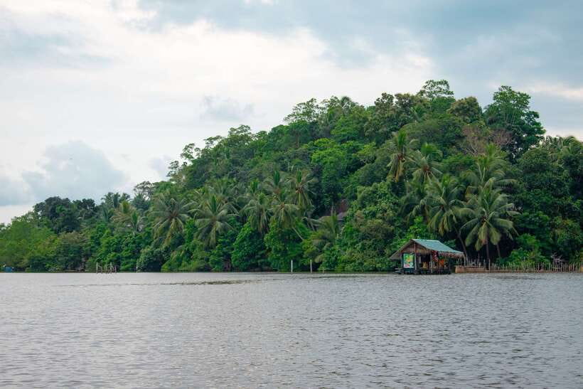 Sri Lanka Bentota: Private Mangrove Lagoon and River Cruise - What the two-hour itinerary feels like