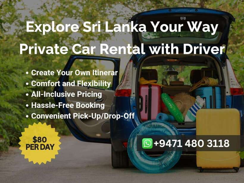 Sri Lanka Car Rental with Driver - 3 Days Minimum, 180km/Day - Why a private car makes sense in Sri Lanka