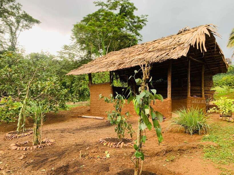 Sri Lanka: Ceylon Cinnamon Experience & Spice Garden Tour - Why the Cinnamon Work Is the Heart of the Visit