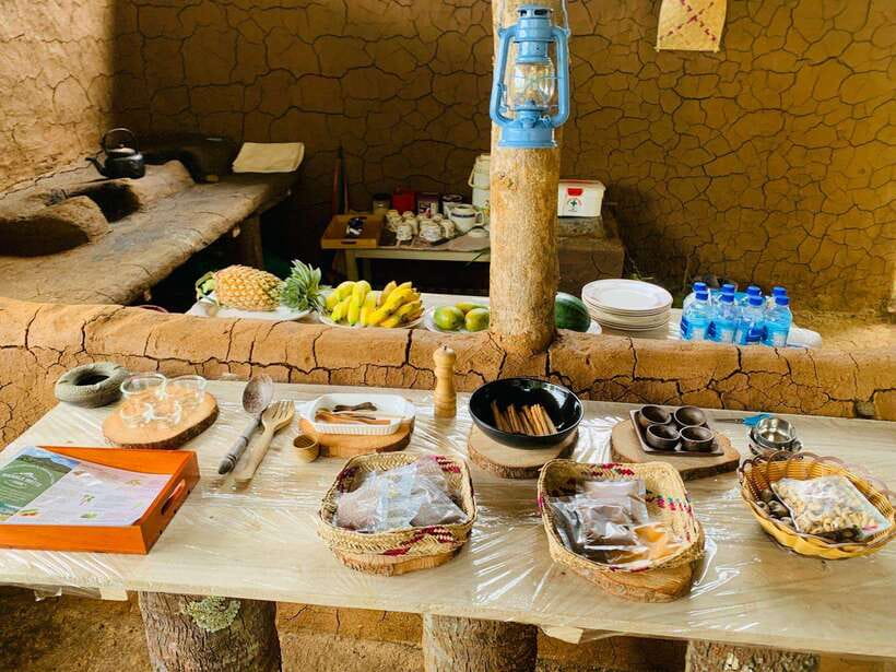 Sri Lanka: Ceylon Cinnamon Experience & Spice Garden Tour - From Farm Work to the Spice Processing Factory