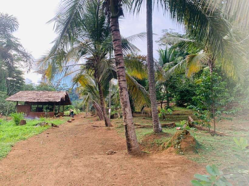 Sri Lanka: Ceylon Cinnamon Experience & Spice Garden Tour - A Personal, Small-Group Feel
