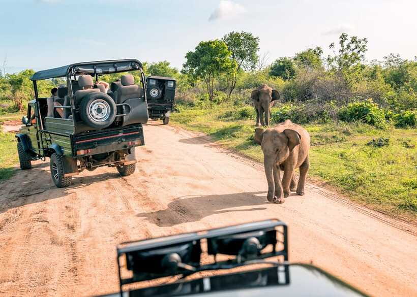 Sri Lanka Cultural Triangle Private 2-Day Tour+Wildlife Tour - Key points to know before booking