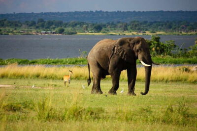 Sri Lanka Cultural Triangle Private 2-Day Tour+Wildlife Tour