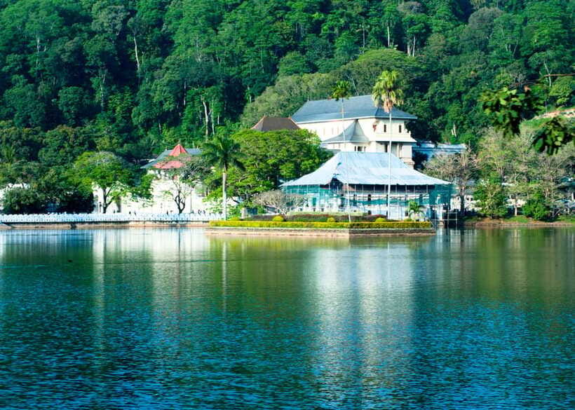 Sri Lanka Cultural Triangle Private 2-Day Tour+Wildlife Tour - Minneriya safari adds a welcome change of pace