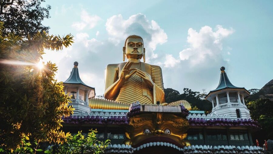 Sri Lanka Cultural Triangle Private 2-Day Tour+Wildlife Tour - Peradeniya offers gardens and breathing room