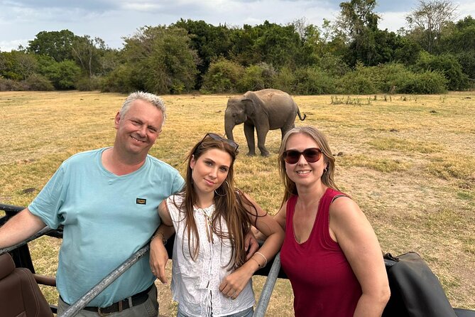 Sri Lanka Customize Multiple day tour packege - Day 4: Ramboda, tea country, and the train to Ella