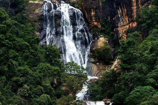 Sri Lanka Ella Private Day Tour Nine Arch & Elephant transit home - Seeing how Sri Lankan tea reaches your cup
