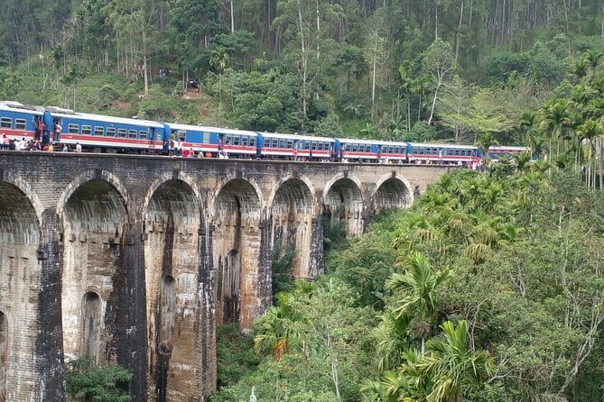 Sri Lanka Ella Private Day Tour Nine Arch & Elephant transit home - Walking to Nine Arches Bridge through Ella’s tea country