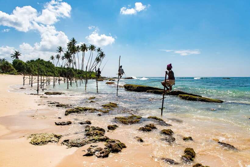 Sri Lanka Green Bless- 2-day Private Trip To Enjoy Nature - Three habitats, one very busy trip