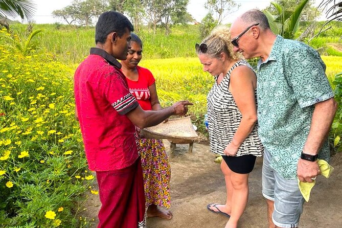 Sri Lanka in 06 Days - Why this six-day route works