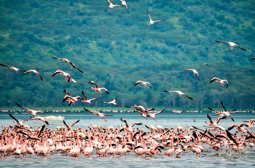 Sri Lanka Nature, culture, history and wildlife in 4 days - What the $465 price really covers