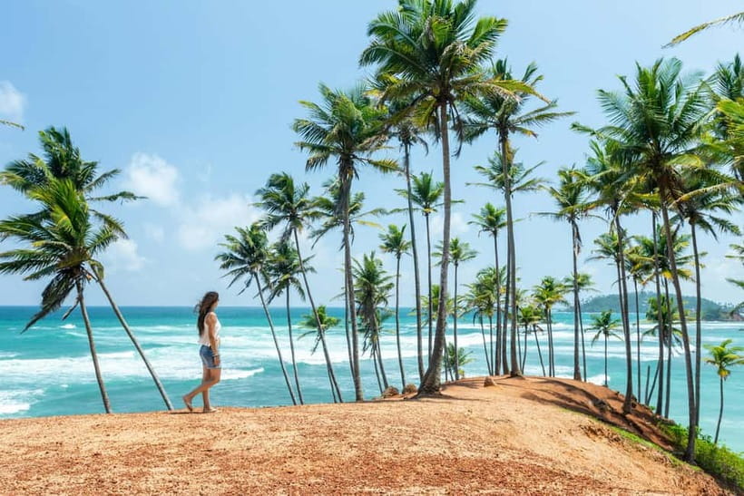Sri Lanka Private 10-Day Round Tour Car, Guide, Hotels, Food - Key points to know before booking