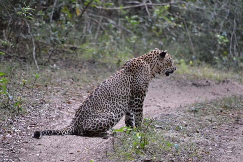 Sri Lanka Private 10-Day Round Tour Car, Guide, Hotels, Food - Day 3: Polonnaruwa and village life near Habarana