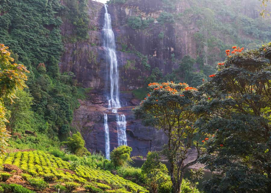 Sri Lanka Private 2-day Tour:Train Trip, Kandy, Nuwara Eliya - Day one: spice gardens, Peradeniya, and Kandy