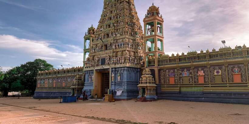 Sri Lanka Private 3-Day Cultural Tour, 5 UNESCO Sites - What the private guide adds