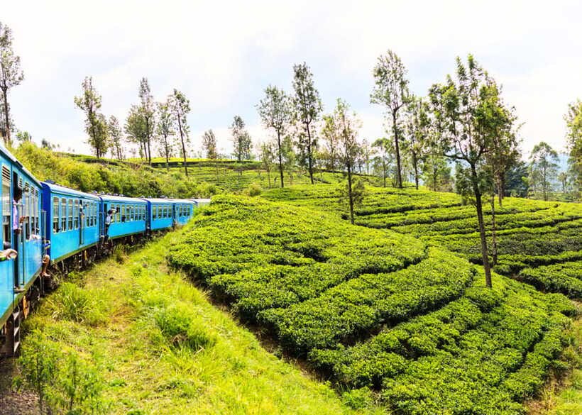 Sri Lanka Private 3-nights Tour Transport, Guide, Hotels - Should you book it?