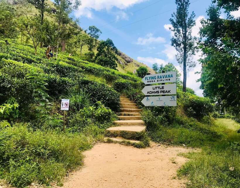 Sri Lanka Private 3-nights Tour Transport, Guide, Hotels - Day 2: Sigiriya, Dambulla, and a safari near Minneriya