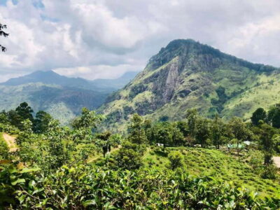 Sri Lanka Private 3-nights Tour Transport, Guide, Hotels