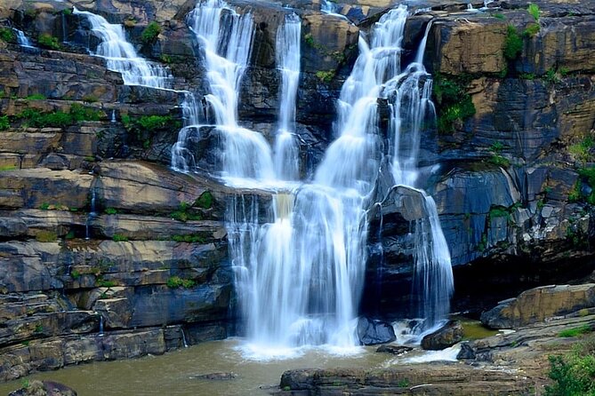Sri Lanka Private 8-Day Guided Tour with Pickup from Colombo - Day 2: Polonnaruwa ruins and a national park safari