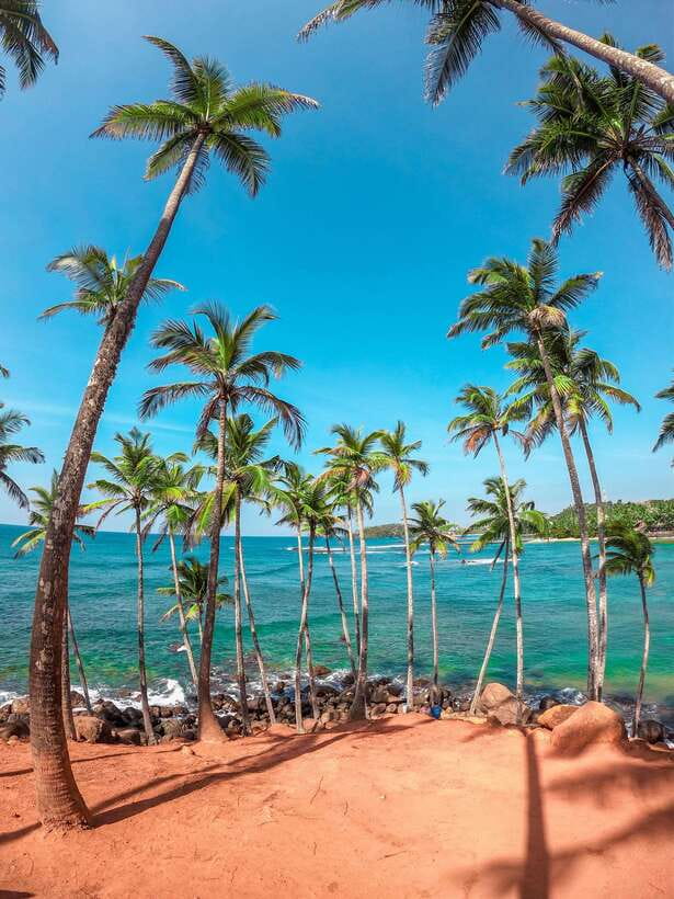 Sri Lanka Private 8-day Tour; Transport, Guide, Hotels, Food - Why this route works, and where it asks a lot
