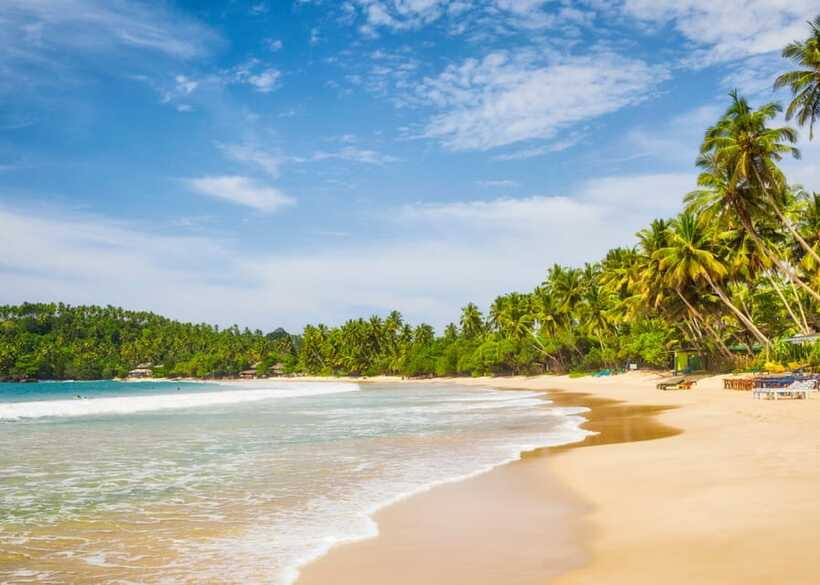 Sri Lanka Private 8-day Tour; Transport, Guide, Hotels, Food - Day 4: Kandy’s temples, gardens, and city life