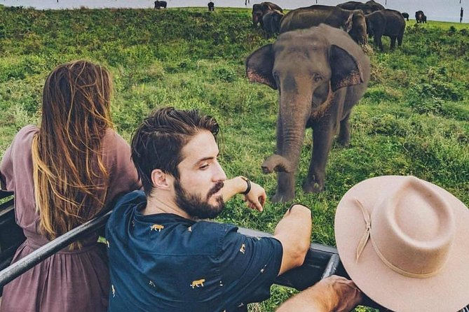 Sri Lanka private tour package 9 night 10 Day with driver+vehicle+accommodations - Day 6: Botanical gardens and Nuwara Eliya tea country