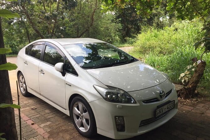 Sri Lanka Round Tour with English Speaking Driver Guide and Car - Your English-speaking driver-guide