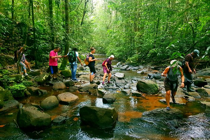 Sri Lanka Sinharaja Rain Forest Tour with Transport - Why Sinharaja deserves a full morning