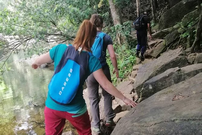 Sri Lanka Sinharaja Rain Forest Tour with Transport - The optional gem-shopping stop