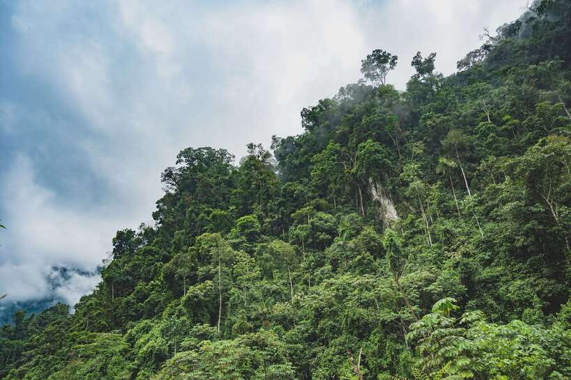 Sri Lanka: Sinharaja rainforest tour from Colombo, Bentota - Should you book this Sinharaja tour?
