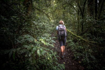 Sinharaja rainforest tour from Colombo, Bentota