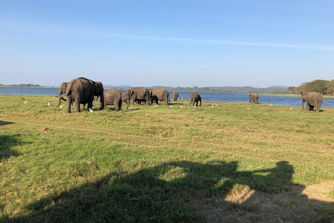Sri Lanka Tour in 8 Days - Day 7: Mirissa beach and a slower afternoon
